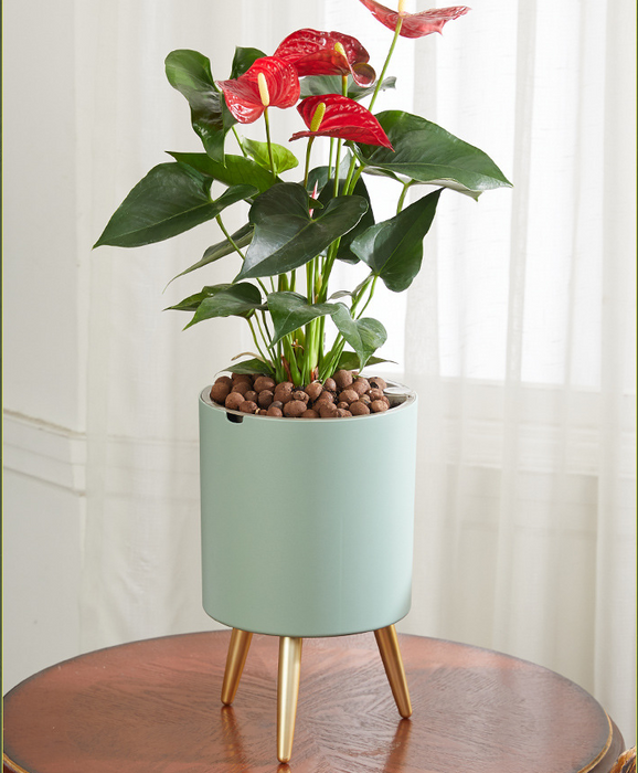 Vaso de flores com rega automática, com indicador de nível de água, bacia de armazenamento, design moderno, presente ideal para amigos