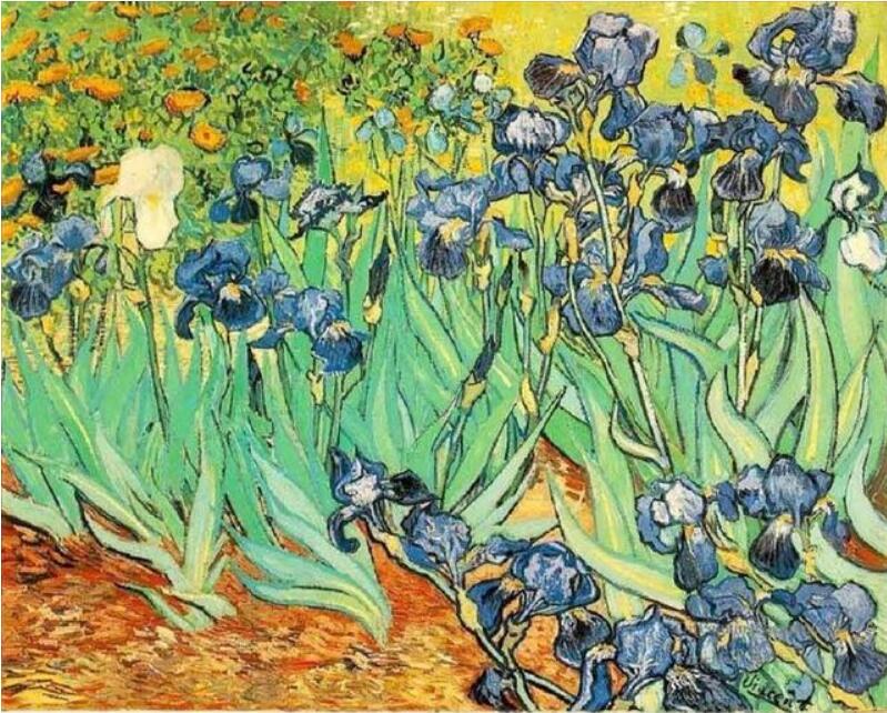 Melhores imagens diy pintura a óleo digital pintura por números natal aniversário presente exclusivo van gogh céu estrelado do rio ródano