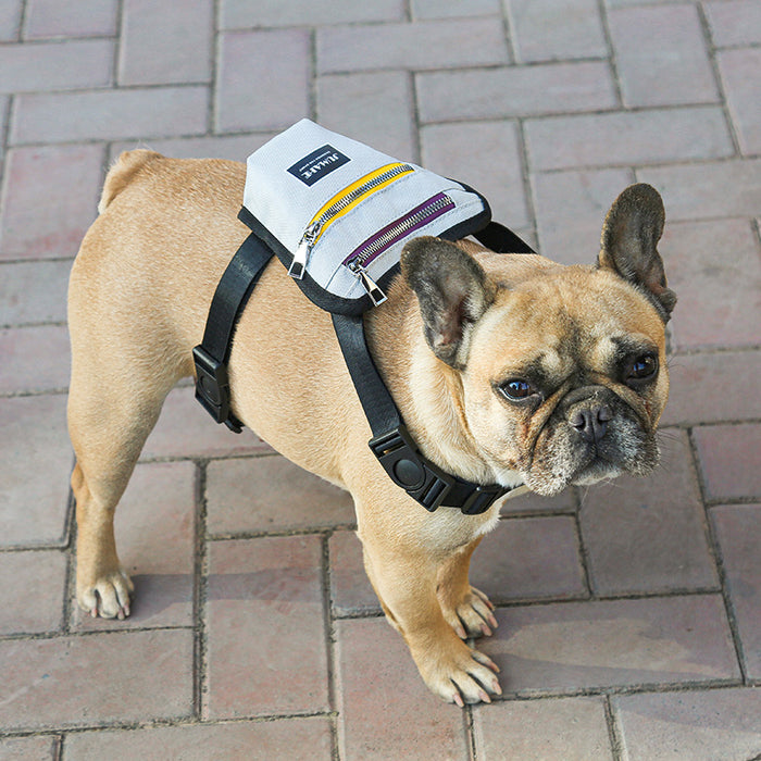 Pet Dog Outdoor Travel Backpack