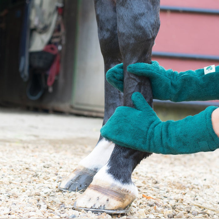 Haustier Hund Pferd Fuß Reinigung Pflege Trocknen Handschuhe